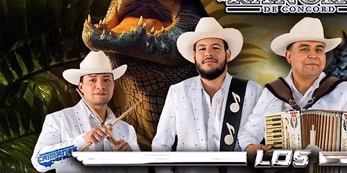 Los Caimanes de Sinaloa & Los de Porte Fino