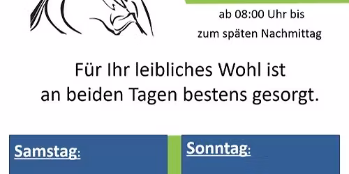 Hallenturnier in Lebenhan 