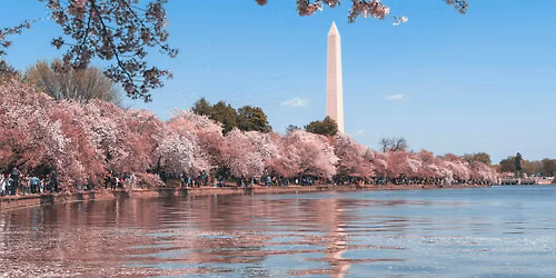 Washington DC Spring Bus Tour 2027: Monuments, Museums & Arlington
