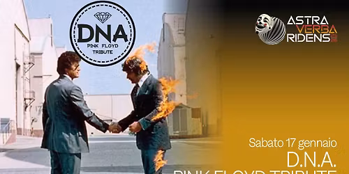 D.N.A. \u2013 PINK FLOYD Tribute