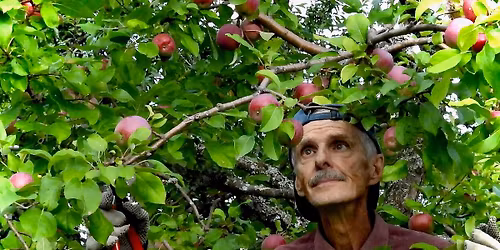 Vernissage "Gens d'ici"