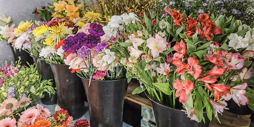 Designers Choice Floral Class