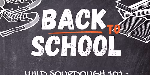 Wild Sourdough 101 For The Educator's Schedule