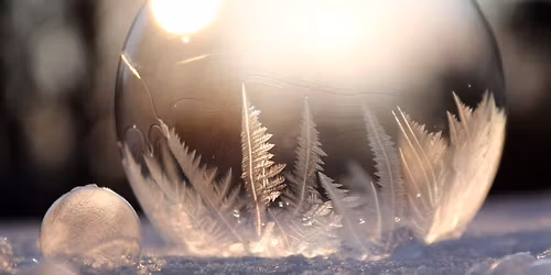 Julfest - vinters\u00e5 perenner