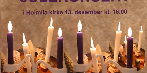 Stemningsfull julekonsert