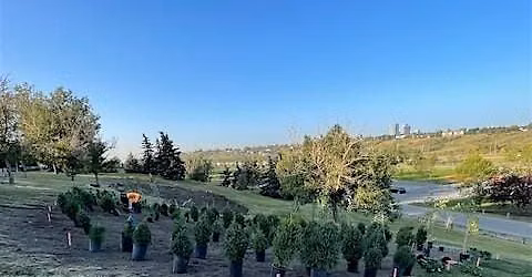 Vista Heights Volunteer Tree Planting
