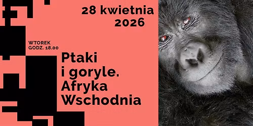 Ptaki i goryle. Afryka Wschodnia i Kongo. Spotkanie