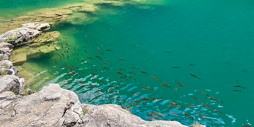 JARN\u00cd LOMY VELK\u00c1 A MAL\u00c1 AMERIKA - podzem\u00ed a k vod\u011b