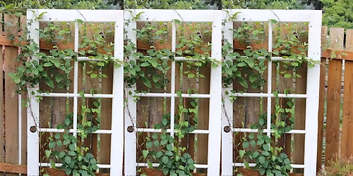 DIY Reclaimed Trellis