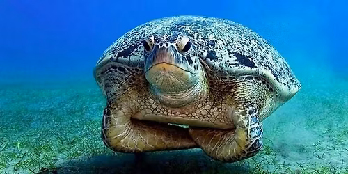 Clinic - How to improve air consumption