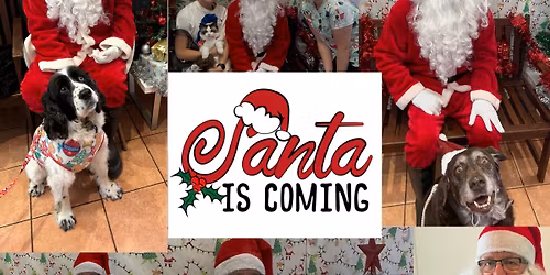 Santa Claws \ud83d\udc3e is coming!
