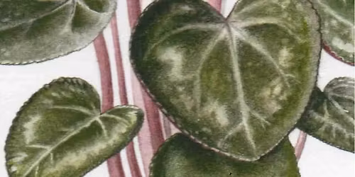 Botanical Painting - Houseplants: A Focus on Foliage