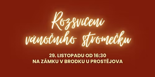 Rozsv\u00edcen\u00ed v\u00e1no\u010dn\u00edho strome\u010dku