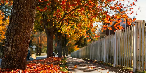 Henry's Ottawa: The Urban Landscape in Fall + Fall Photo Walk