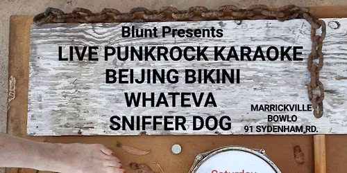 LIVE PUNK ROCK KARAOKE + BEIJING BIKINI + WHATEVA + SNIFFER DOG