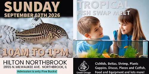 GCCA Tropical Fish Swap Meet - September 13th