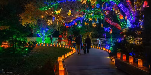 Parking Ricky Martin (21+)