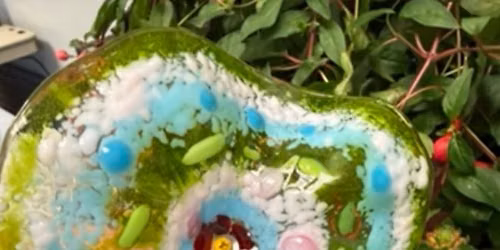 \ud83c\udf3aFused Flower \ud83c\udf3a cost 2\/$75 make and pick up