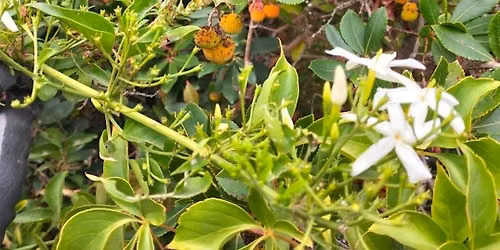 Lab botanica! IMPARIAMO A COSTRUIRE UN ORTO-GIARDINO IN VASO