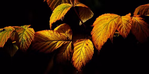 H\u00f8stbasar p\u00e5 Holum bedehus