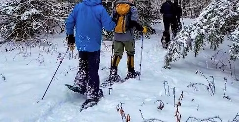 Winter Ecology by Snowshoe