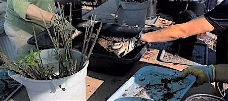 Earth Day: Sow and Grow!