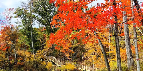 Jean and John Greene Nature Preserve Walk