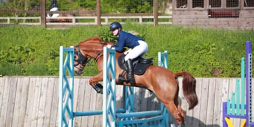 Unaffiliated Showjumping