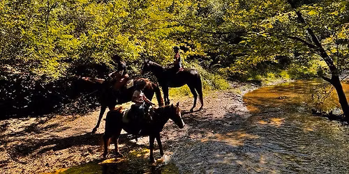 Bayonet Farm\/Holmdel Park Hunter Pace