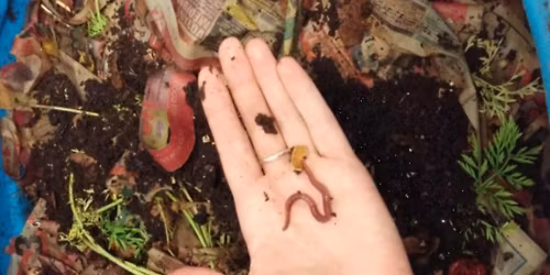 Start your Own Vermicomposter