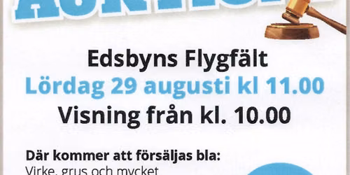 Flygklubbens \u00e5rliga auktion
