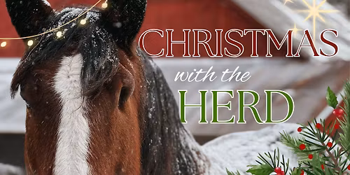 Christmas with the Herd