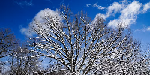 Strong Towns South Milwaukee Monthly Meeting | December