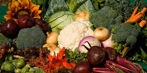 Vegetable Gardening with a Master Gardener (Garden Tour\/Class)