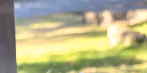 Ceramic Bouquet Workshop With D