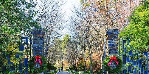 Holiday Greenery: Build Your Own Wreath