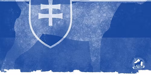 MSR det\u00ed a ml\u00e1de\u017ee\/Slovak Junior Championship & Oldies Cup 2026