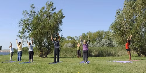 Forest Yoga and Meditation - Windsor Great Park, Sunday 12 October