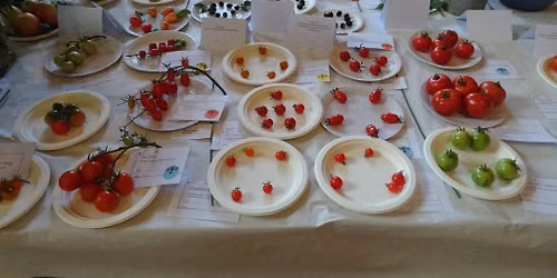 Epping Horticultral Society Annual Show