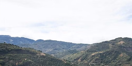 Ecuador Coffee Origin Experience - Sip Society