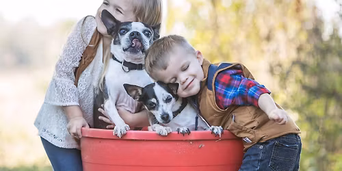 Santa Pictures: Final Day