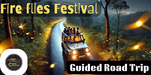 Road trip to Fire Flies Festival