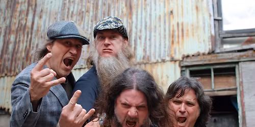 Hayseed Dixie