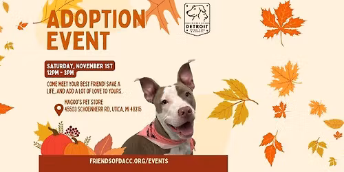 Dog Adoption Event at Magoo's Pet Store