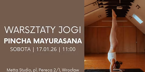 PINCHA MAYURASANA. Warsztaty Jogi