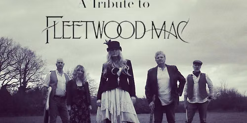 Fleetwood Mac Tribute Our Own Way Live at The Penny Theatre