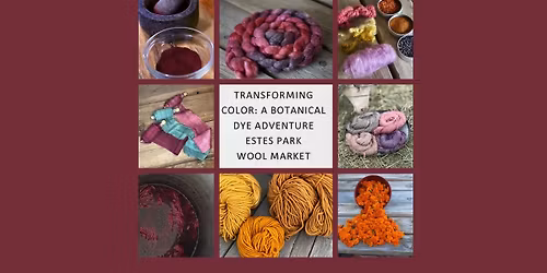Transforming Color: A Botanical Dye Adventure