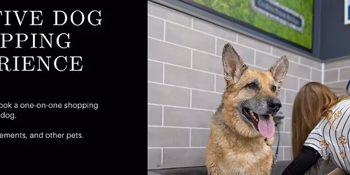 Sensitive Dog Personal Shopping Experience
