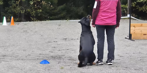 Lydighetstevne alle klasser og raser med KLUBBMESTERSKAP FOR ROTTWEILER