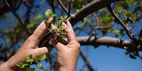 Burritos & Lively Up - Tributes to Sublime and Bob Marley